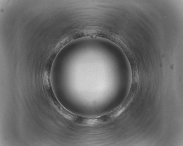 X0000080200575200612081430