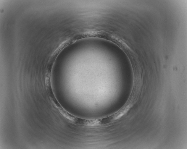 X0000080200576200612081430