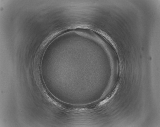 X0000080200577200612081429