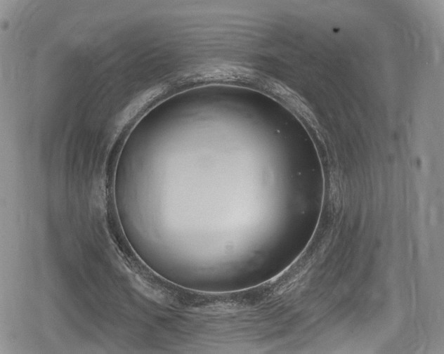 X0000080200578200612081429