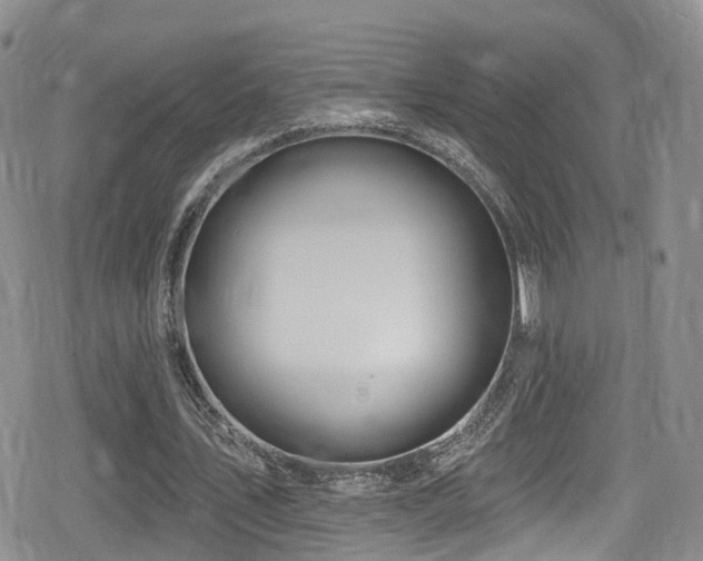 X0000080200579200612081429