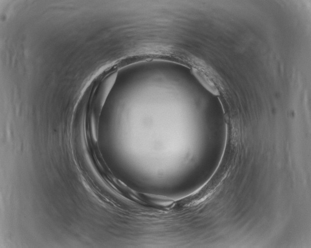 X0000080200580200612081429