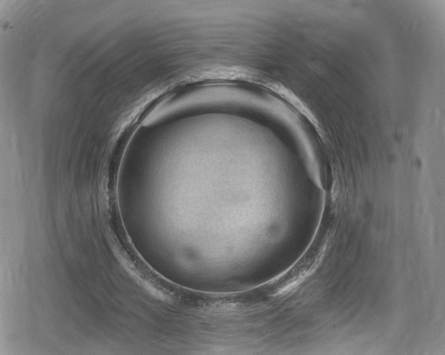 X0000080200581200612081429