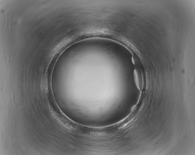 X0000080200582200612081429