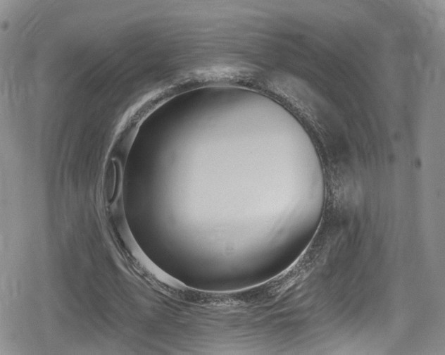 X0000080200583200612081429