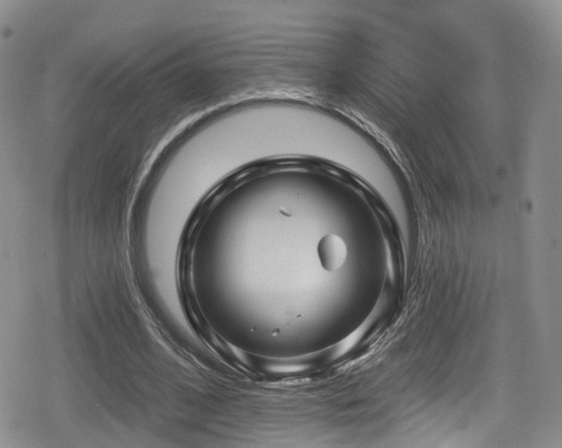 X0000080200584200612081429