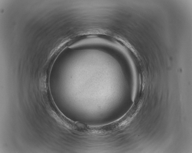 X0000080200585200612081429