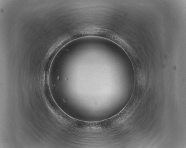 X0000080200586200612081429