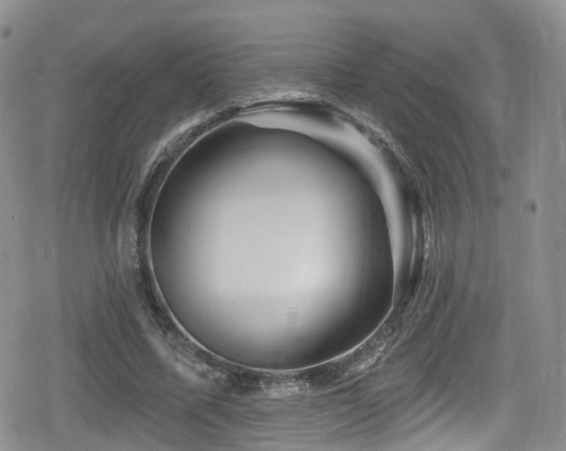 X0000080200587200612081429