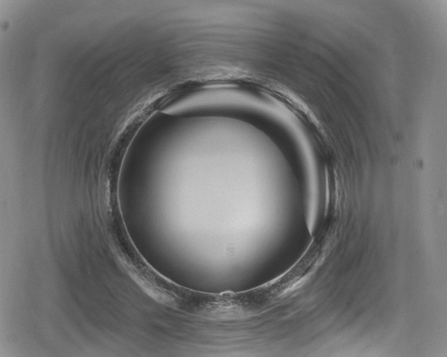 X0000080200589200612081429