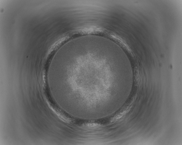 X0000080200590200612081429