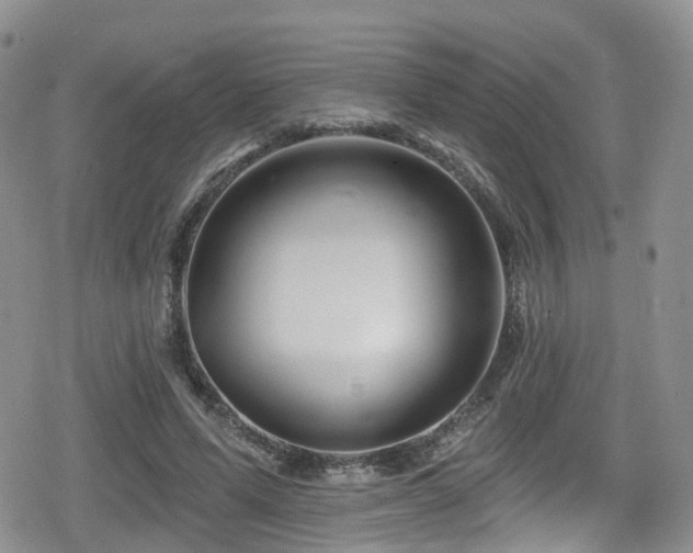 X0000080200591200612081429