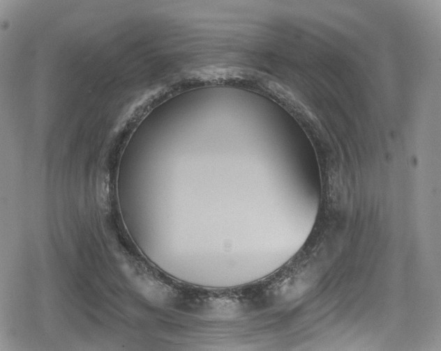 X0000080200592200612081429