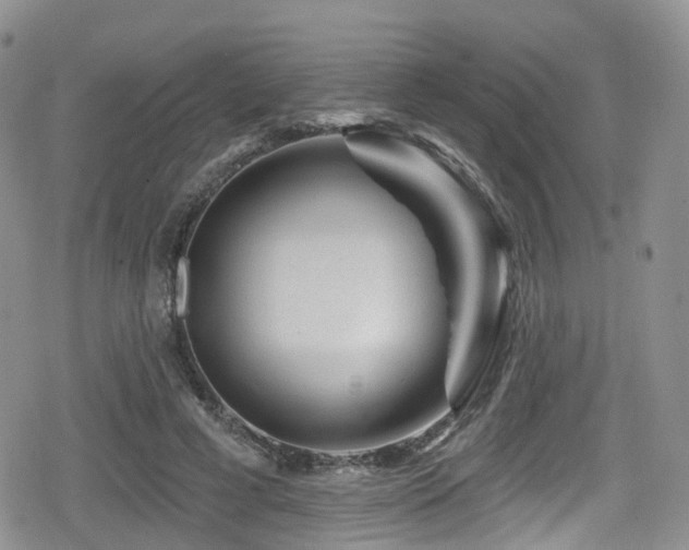 X0000080200593200612081429