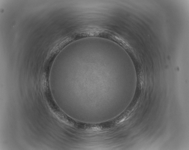 X0000080200594200612081429