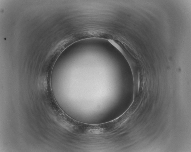 X0000080200595200612081429