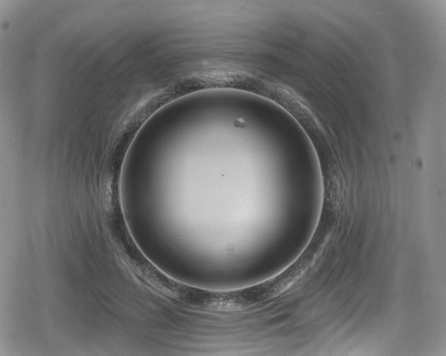 X0000080200596200612081429