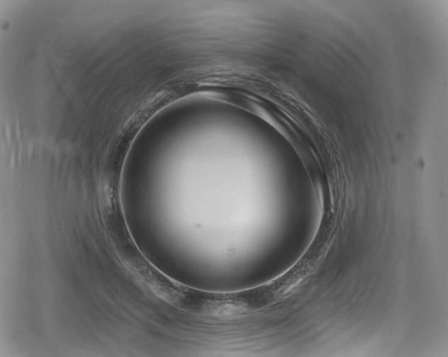 X0000080200597200612081429