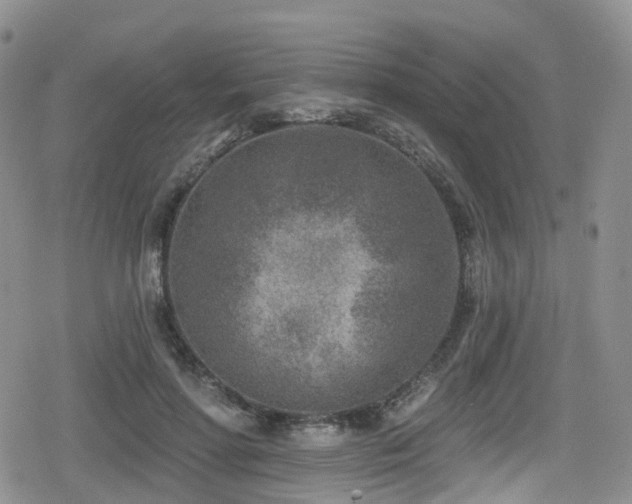 X0000080200598200612081429