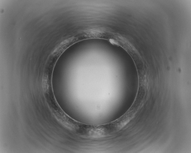 X0000080200599200612081429