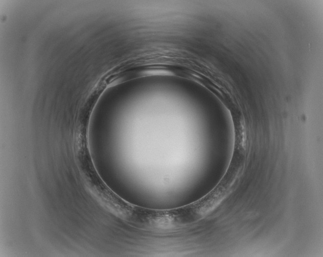 X0000080200600200612081429