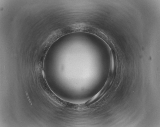 X0000080200601200612081429