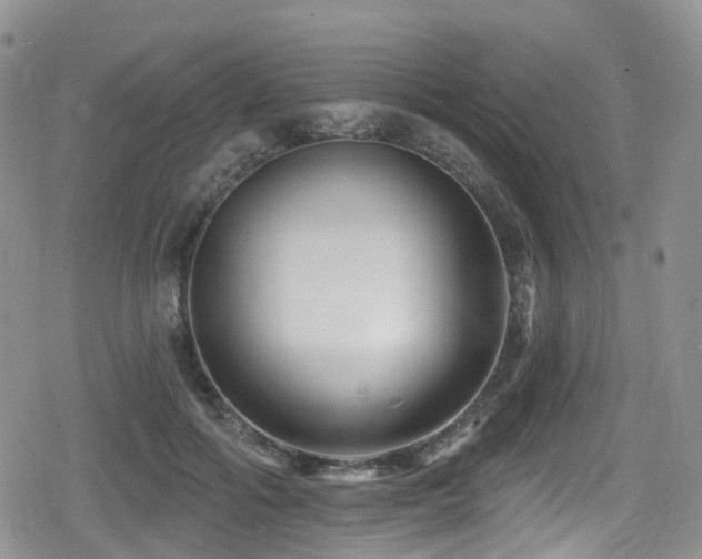 X0000080200602200612081429