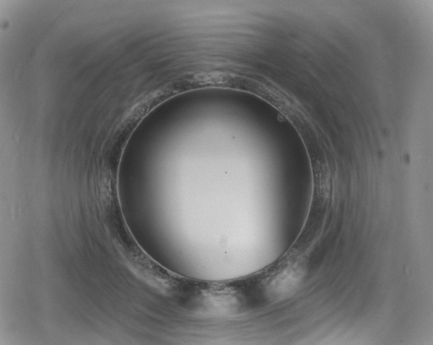 X0000080200603200612081429