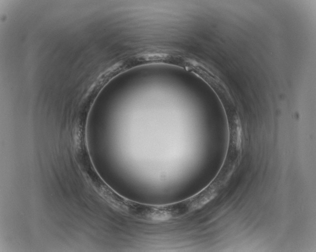 X0000080200604200612081429