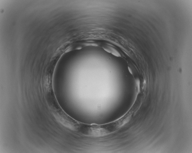 X0000080200605200612081429