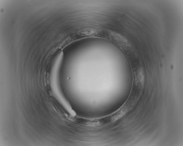 X0000080200606200612081429