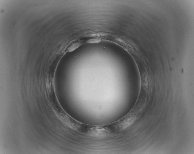 X0000080200607200612081429