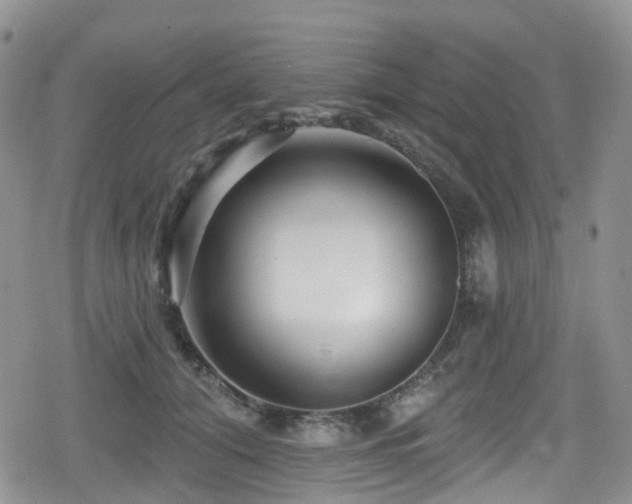 X0000080200608200612081429