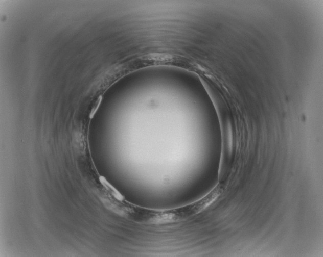 X0000080200609200612081429