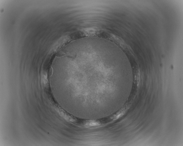 X0000080200610200612081429