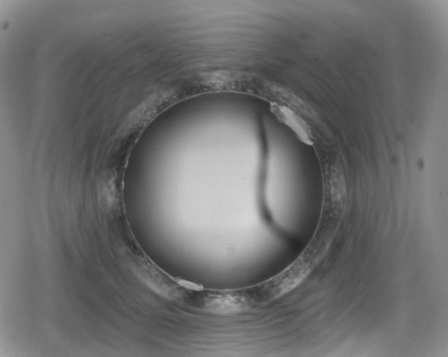 X0000080200611200612081429