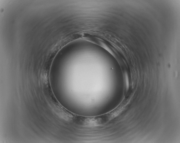 X0000080200613200612081429