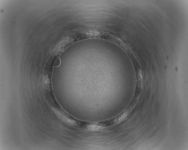 X0000080200614200612081429