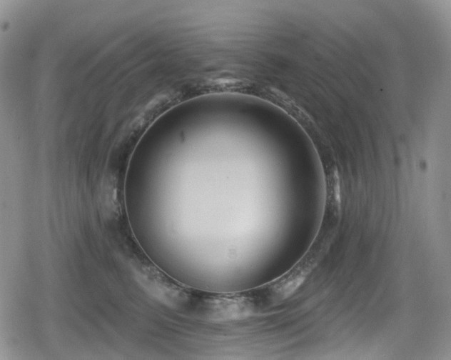 X0000080200615200612081429