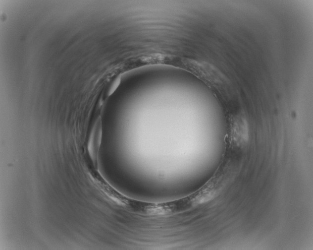 X0000080200616200612081429