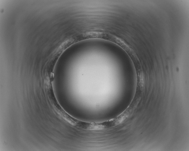 X0000080200617200612081429