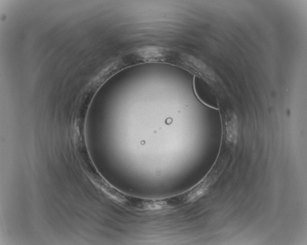 X0000080200618200612081429