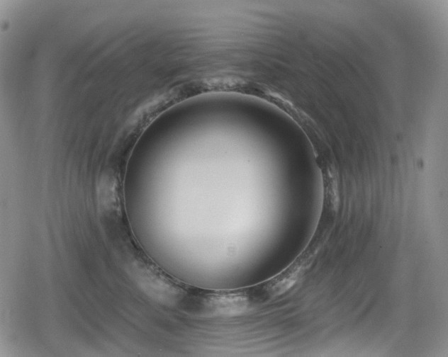 X0000080200619200612081429