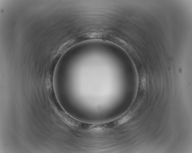 X0000080200620200612081429