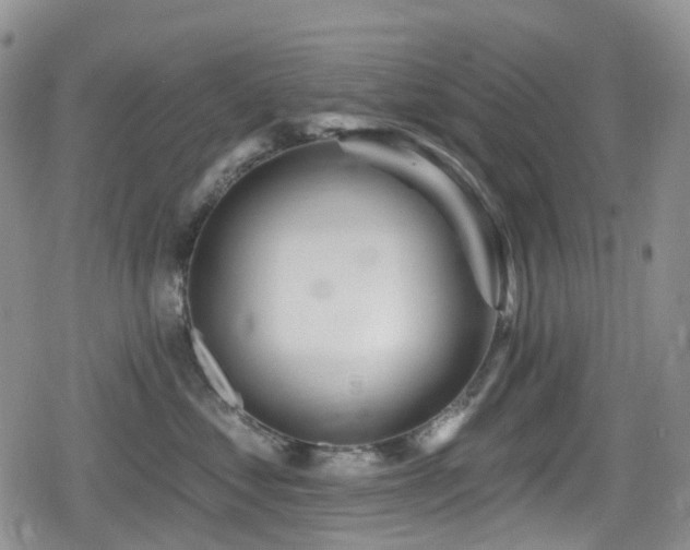 X0000080200621200612081429