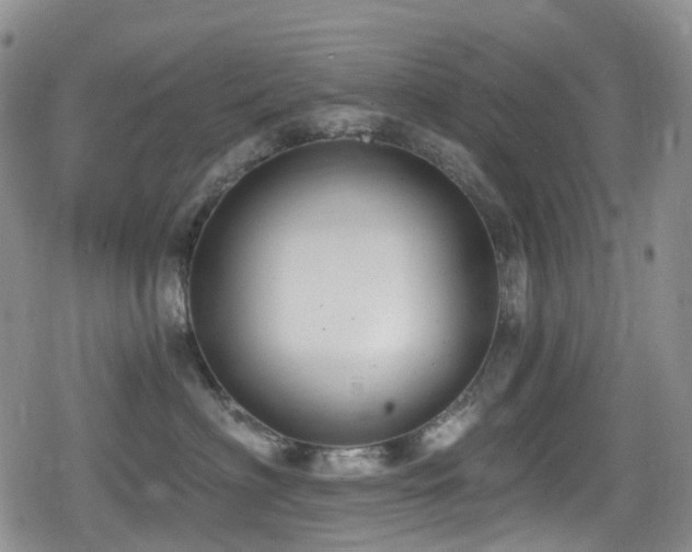 X0000080200622200612081429