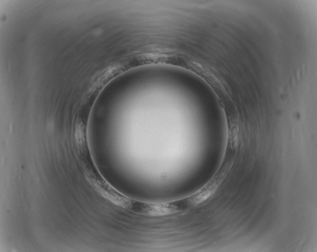 X0000080200623200612081429