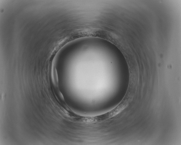 X0000080200624200612081429