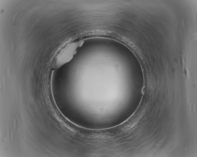 X0000080200625200612081428