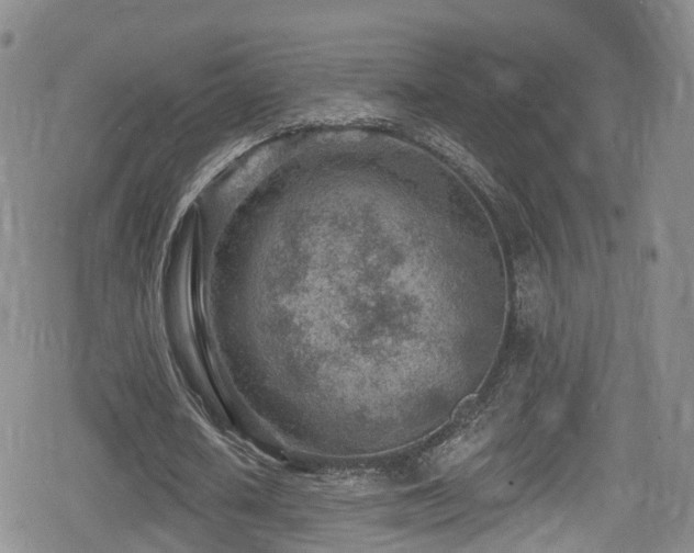 X0000080200626200612081428